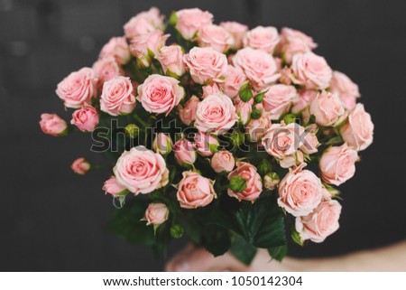 Bouquet of pink roses on a dark background. Pink roses.