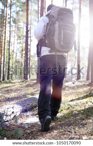 A man is a tourist in a pine forest with a backpack. A hiking trip through the forest. Pine reserve for tourist walks. A young man in a hike in the spring.