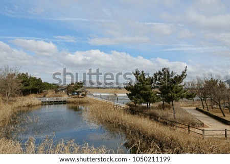 pond and arbor against blue sky and clouds, idyllic and peaceful mood