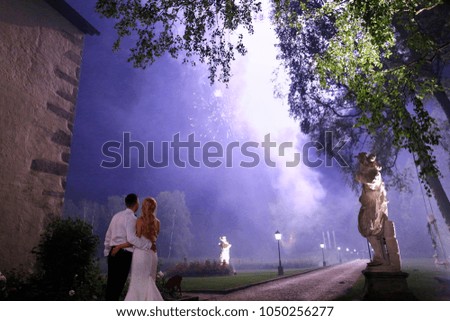 Happy wedding couple watching fireworks.