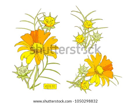 Stylized vector yellow flowers set