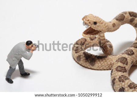 video reporter with a camera in front of a giant snake
