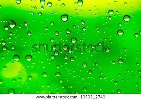 Close up of transparent water splashing on window in the morning against green as background