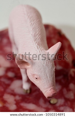 miniature toy of a pig with some slices of salami