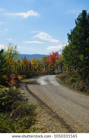 Autum colorful landscape - Asphalt countryside road with road sing.                             