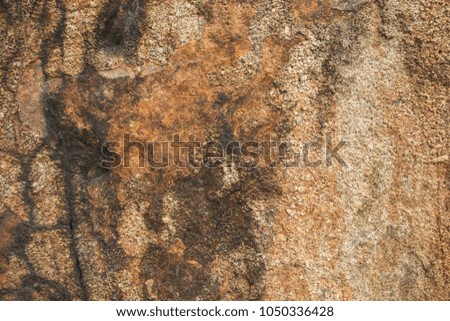 Rock texture, close-up