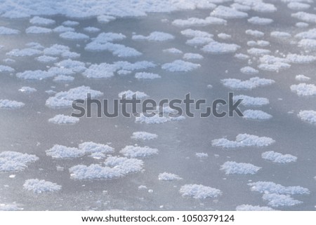 Snowflakes on the ice of a frozen river