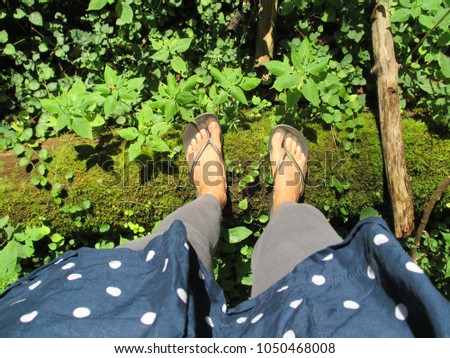 Top view close up of tanned women feet in flip flops walking across a wooden log covered with green moss in a lush sunny forest
