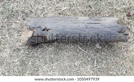 a log in garden 