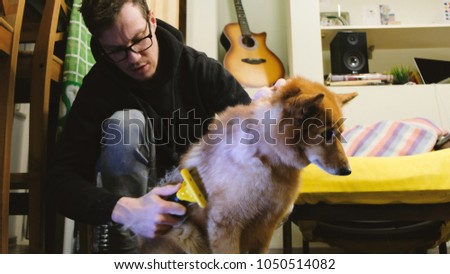 Man combs the shreds of the wool from the dog at home