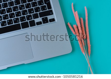 Orange dried flowers and laptop on blue background