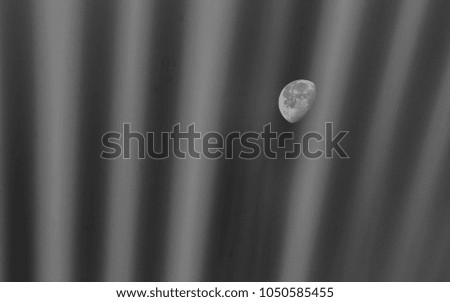 Moon abstract in early morning with flower before sunrise. Silhouette of leaf and moon