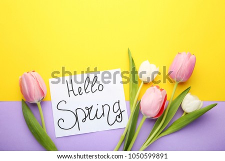 Inscription Hello Spring with tulip flowers on colorful background