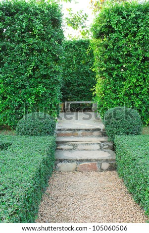 Steps pathway with green hedge