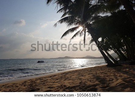 Photo of cloudy sky, palm trees, sea coast