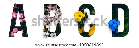 Flower font Alphabet a, b, c, d made of Real alive flowers with Precious paper cut shape of letter. Collection of brilliant flora font for your unique decoration in spring, summer & many concept idea Royalty-Free Stock Photo #1050619865