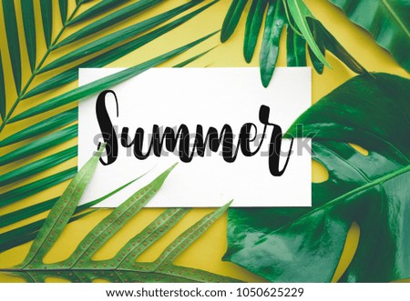 Summer text with tropical leaf on color background.summer, nature,fashion concepts