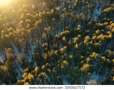 Aerial of sunny landscape in late winter/ early spring.