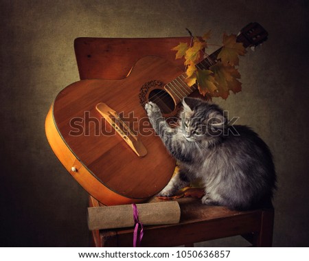 The kitten plays the guitar