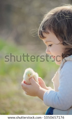 The child holds a chicken in his hands. The girl and the bird. Selective focus. 