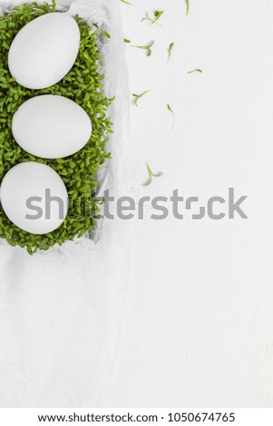 White Easter background with eggs green cress