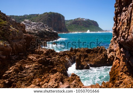  Featherbed Nature Reserve, Knysna, South Africa, Royalty-Free Stock Photo #1050701666