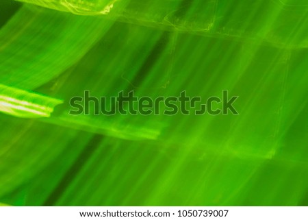 Abstract background of green neon glowing light shapes. Bright stripes  Can use for poster, website, brochure.