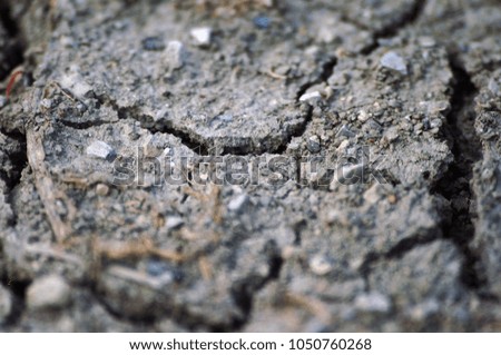 Climate change, drought concept, desertification: agricultural clay soil with cracks closeup