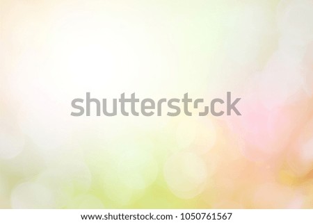 Focus design in holiday party and spring blur lights include wall surface and bokeh or flare bright glow under sun at smooth plain nature background.