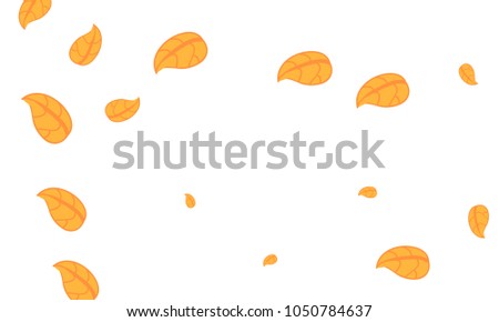 Many Cute Orange Leaves of Different Size on White Background