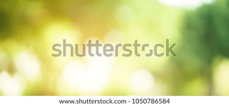 Abstract blurry clean green nature forest background with sunlight yellow effect flare for montage picture as banner or element design