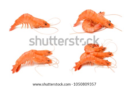 Steamed shrimp isolated on white background