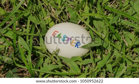 The white egg is on the green grass.