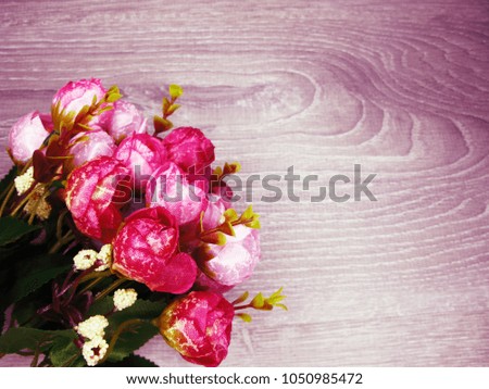 peony flowers bush floral spring background greeting card