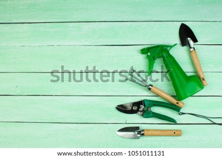 Composition with flowers and gardening tools on the wooden background with space for text.