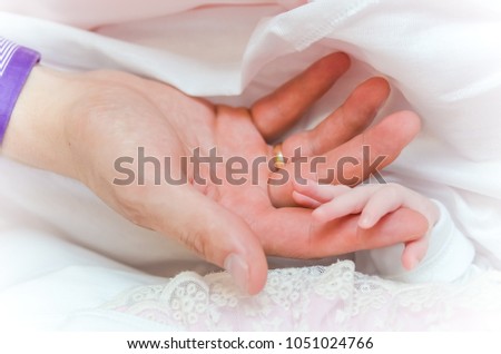 baby hands in the hands