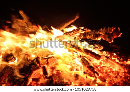Fire. A flame on a black background. A background for designers. Colors of hell. Abstract fiery texture.