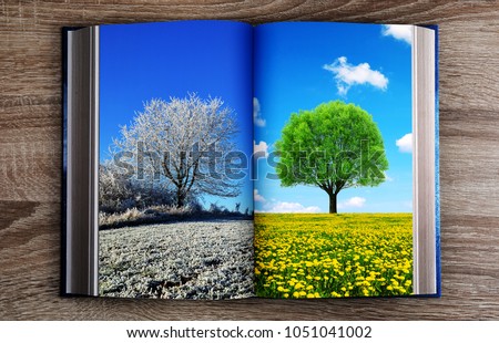 Picture of winter and spring landscape in the book. Concept of change season.