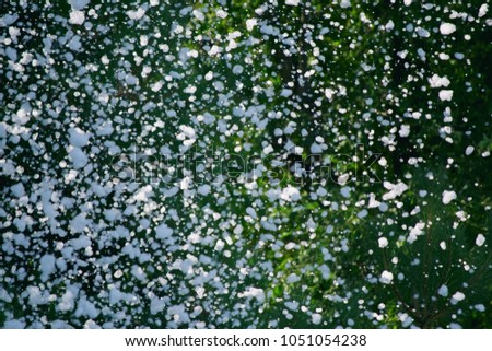 dark green natural background with flying white flakes of different textures in different sorts, sizes and shapes being photographed.