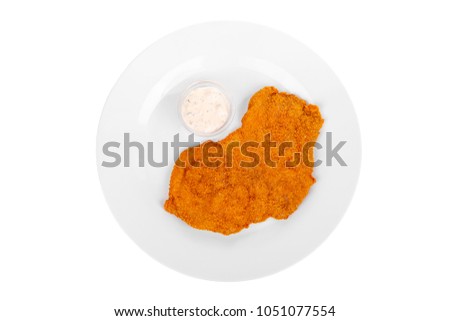Schnitzel from chicken, pork, beef, meat, grilled fish, barbecue, isolated white background. Tartar, sour cream, mayonnaise, white sauce. For the menu in the restaurant bar View from above Royalty-Free Stock Photo #1051077554