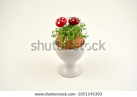 Toadstool spring decoration stock images. Easter eggs decoration. Spring floral decoration. Spring decoration on a white background. Easter egg with cress