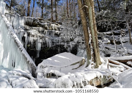 Frozen and Snowy Jacoby Falls in Central Pennsylvania