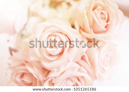 romance and sweet flower abstract background with color filter effect