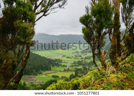 Foggy day in Valley of Sete cidades, San Miguel Island, Azores