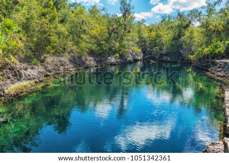 Picture of deep seaside cave with tropical fish and green trees. Cueva de los Peces.