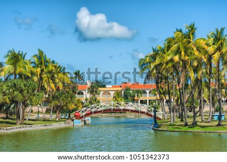 Picture of small tropical lake with green trees and coconut palm trees