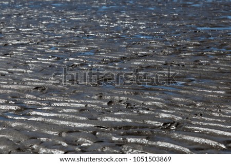Abstracted view of the details of sea sand on the beach, rippled by the tides.
