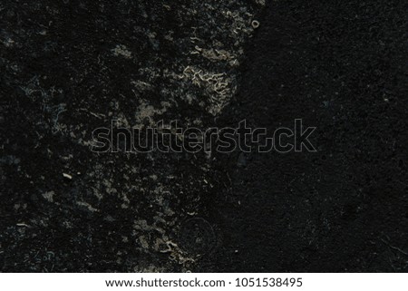 Black old concrete wall with seaweeds