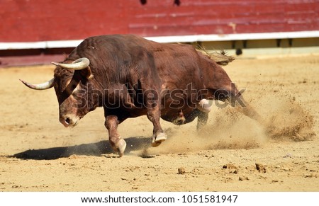 bull in spain Royalty-Free Stock Photo #1051581947
