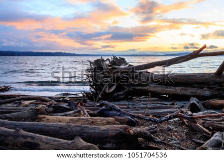 glowing cloudy sunset over driftwood